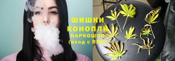 PSILOCYBIN Волосово