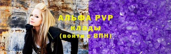 PSILOCYBIN Волосово