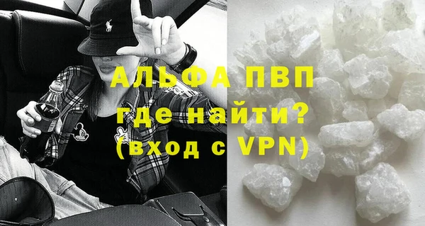 PSILOCYBIN Волосово