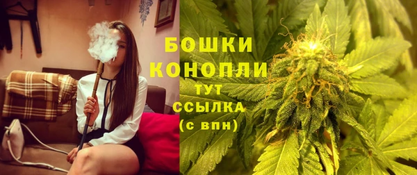 PSILOCYBIN Волосово