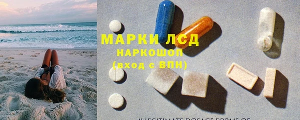 PSILOCYBIN Волосово