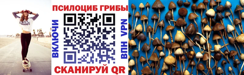 Галлюциногенные грибы Psilocybe  сколько стоит  Пестово 